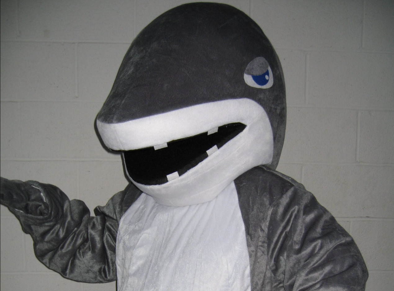 Shark Costume Rental