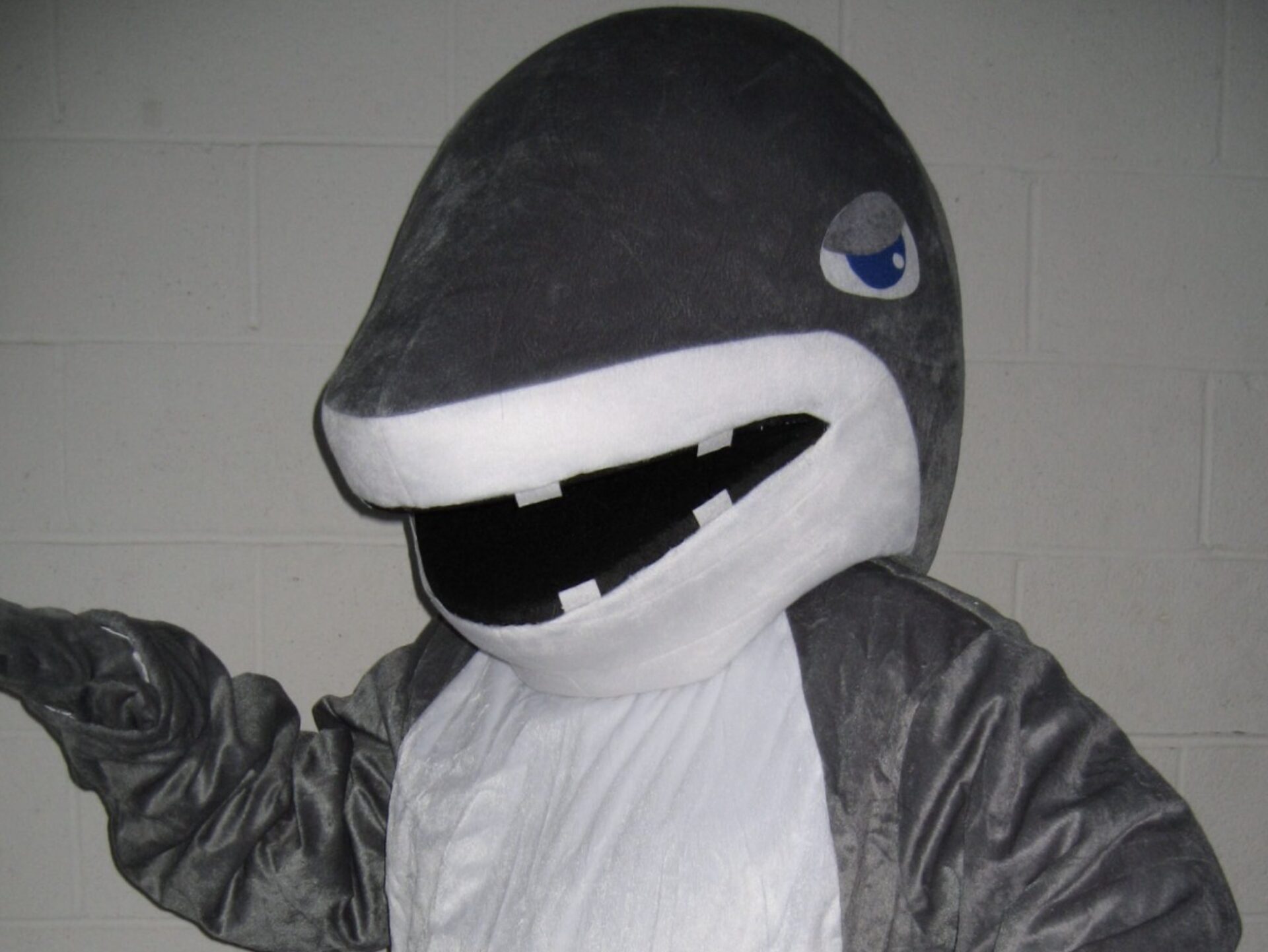 Shark Costume Rental